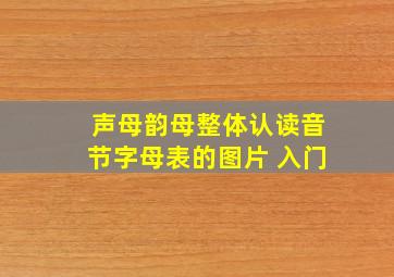 声母韵母整体认读音节字母表的图片 入门